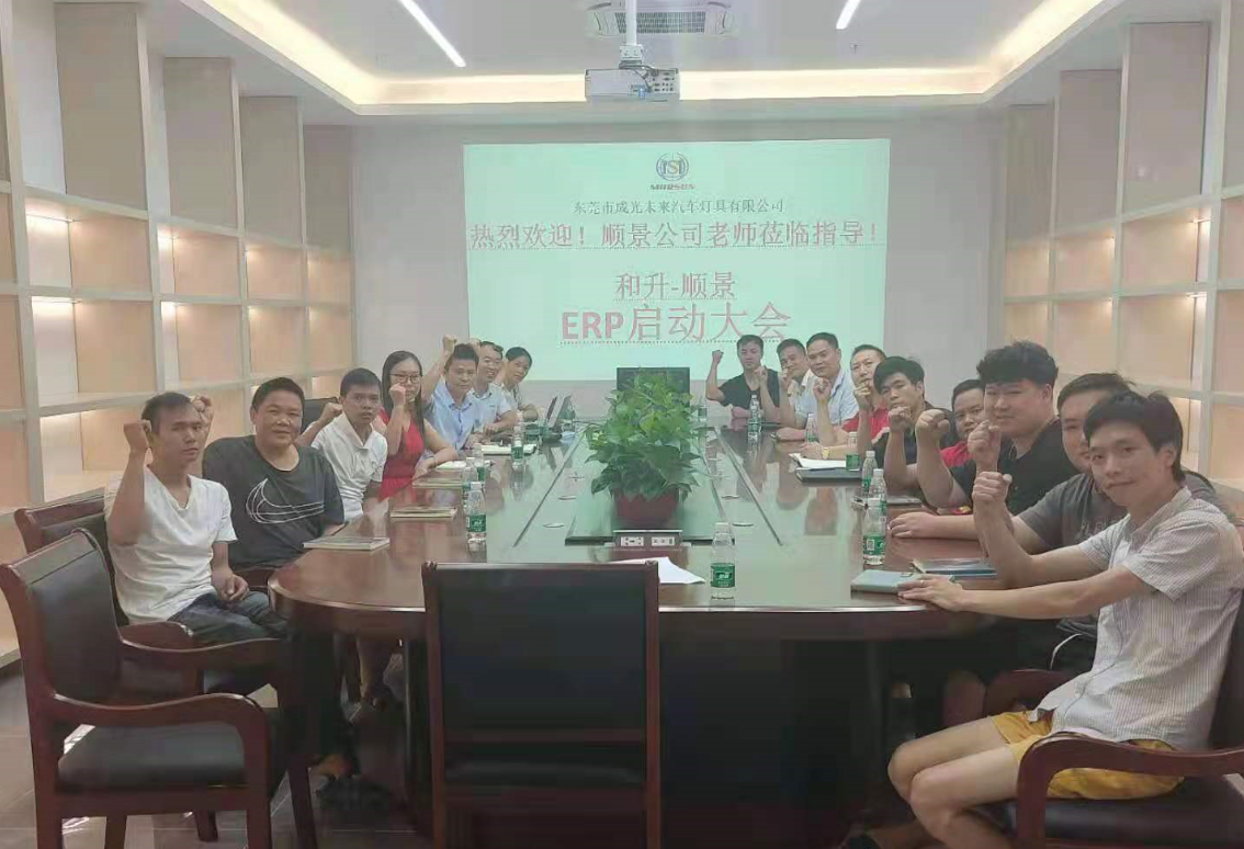 承前启后,智造先行!和升汽车照明公司携手leyu乐鱼在线官网-乐鱼(中国)软件打造数智管理